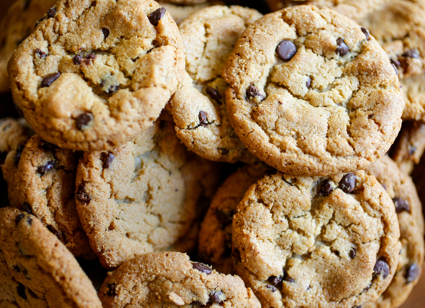 chocolate chip cookies